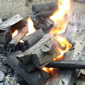 How to start a charcoal fire best sale